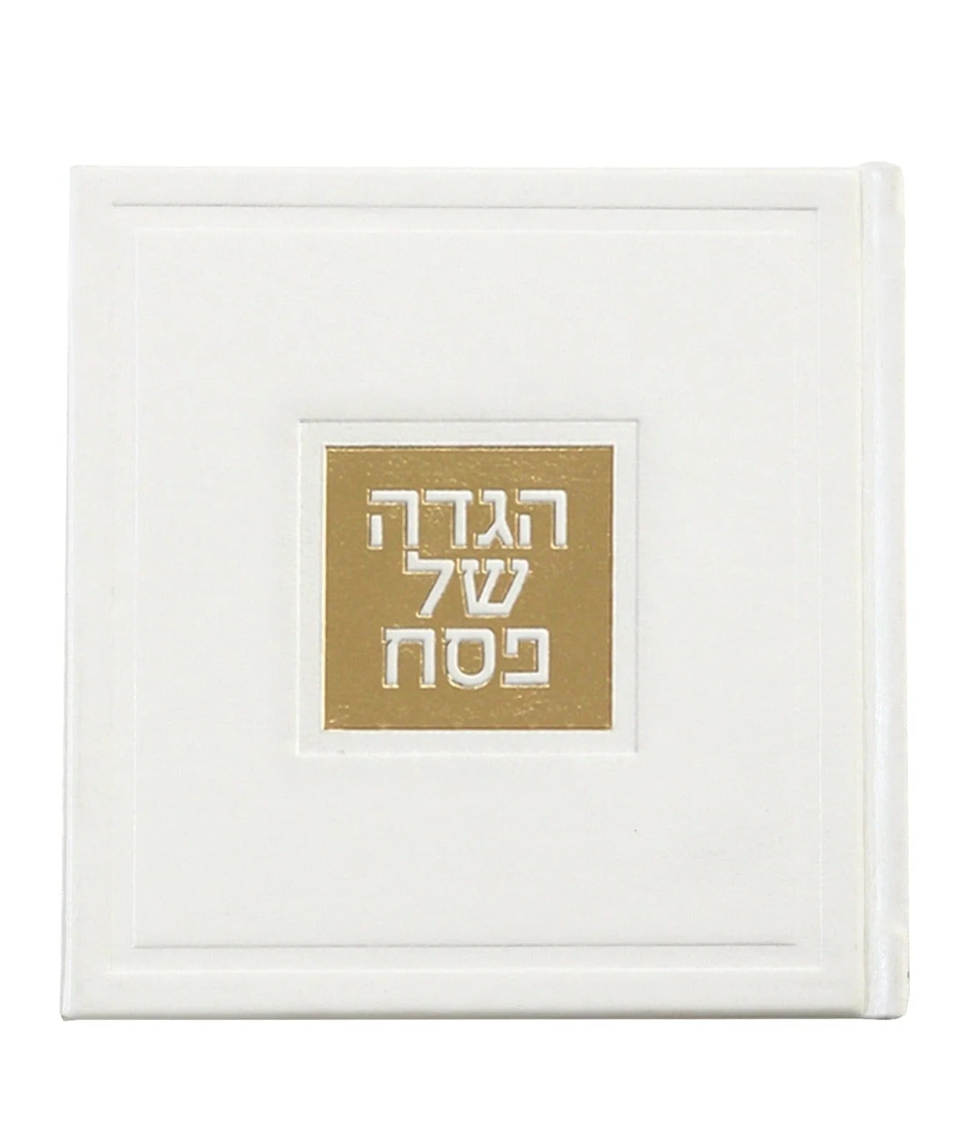 Leather Haggadah with English Instructions