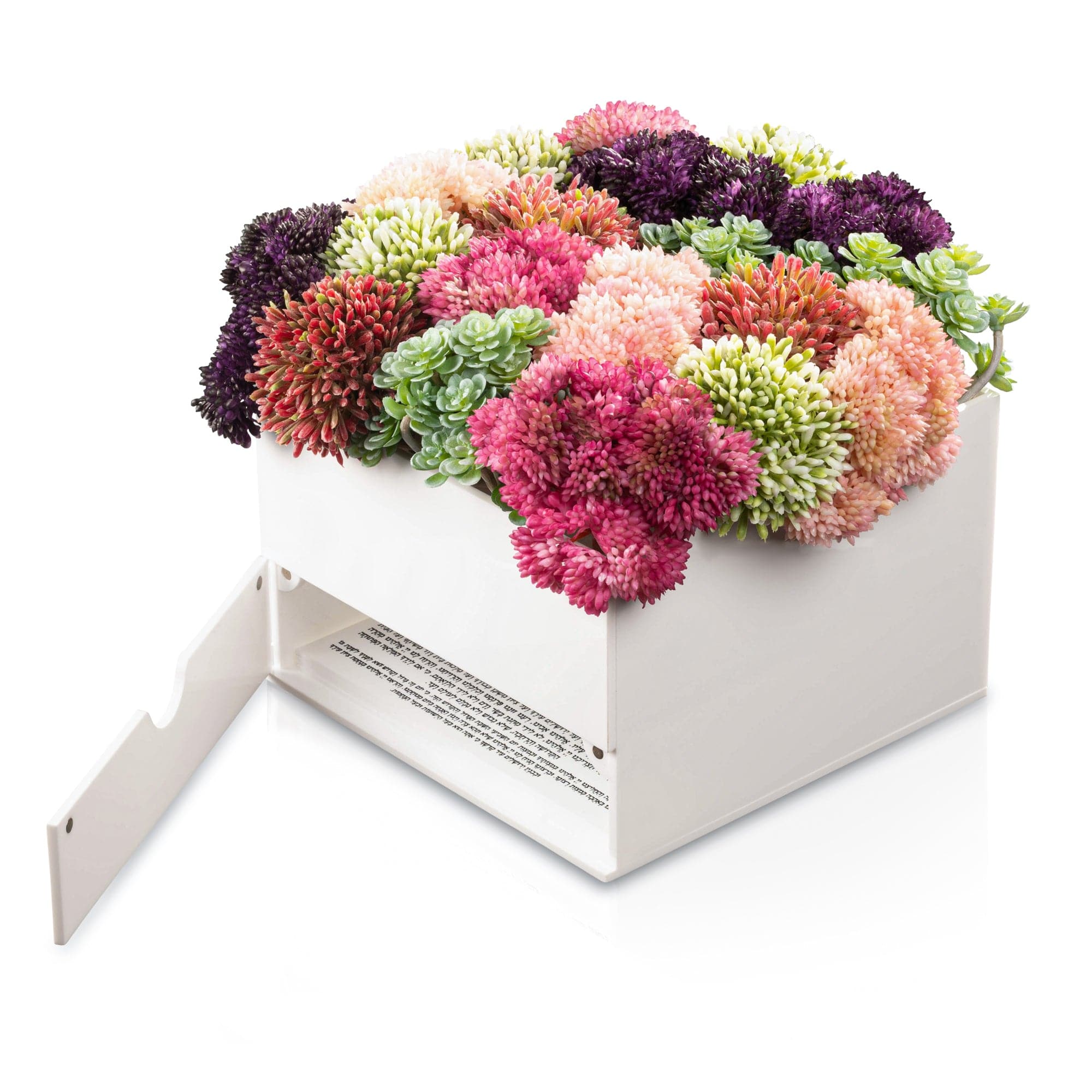 Succulent Bencher Set