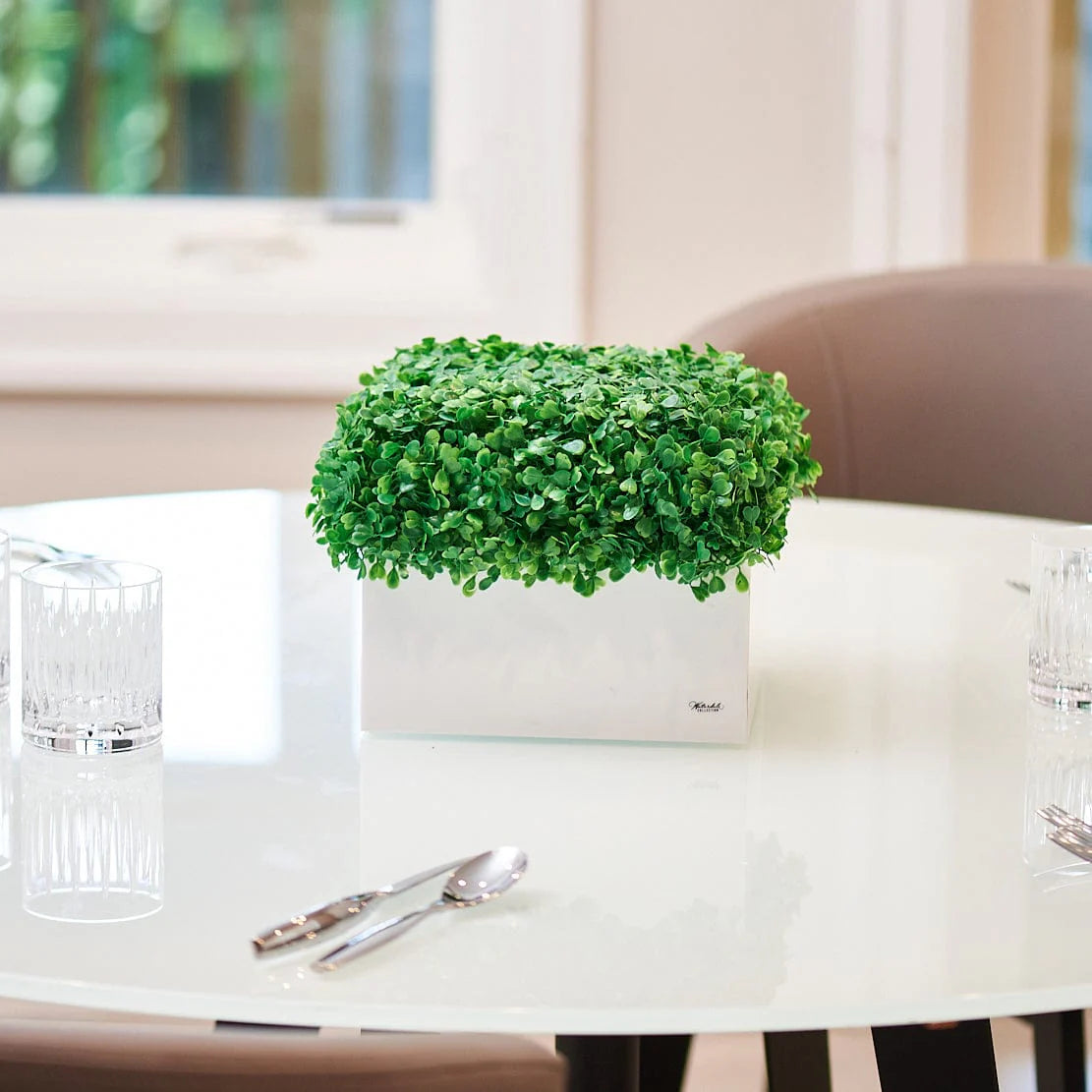Mishloach Manos - Boxwood Vase