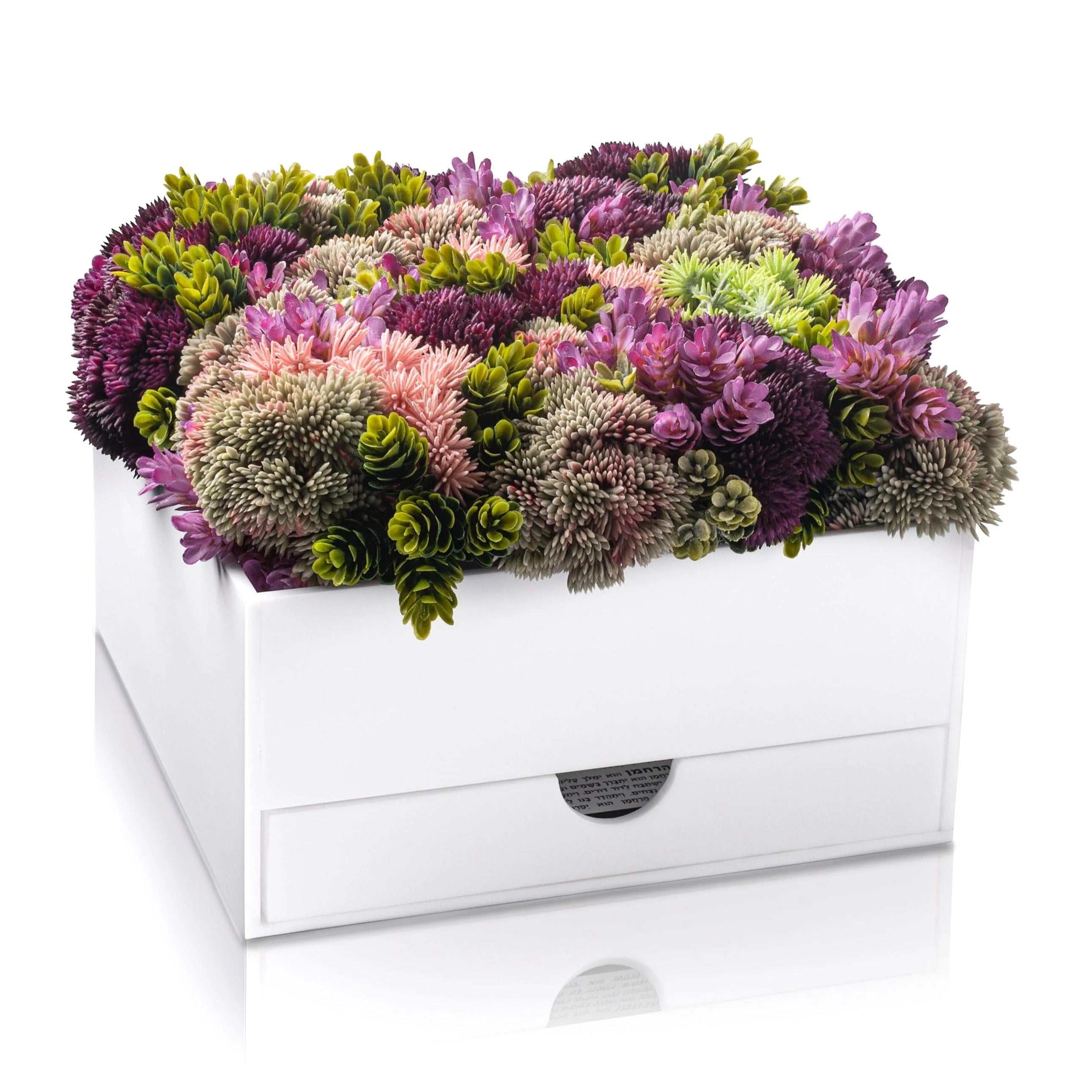 Succulent Bencher Set