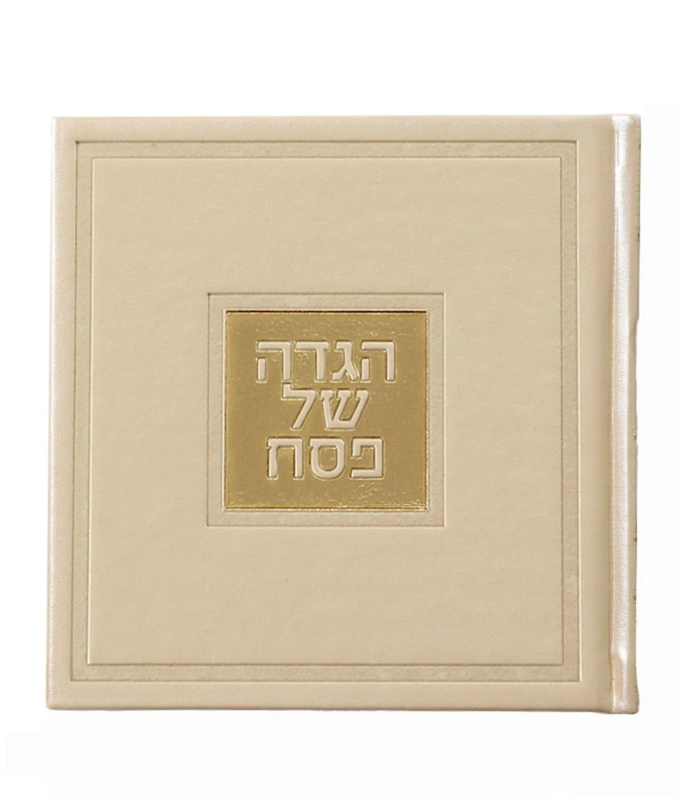 Leather Haggadah with English Instructions