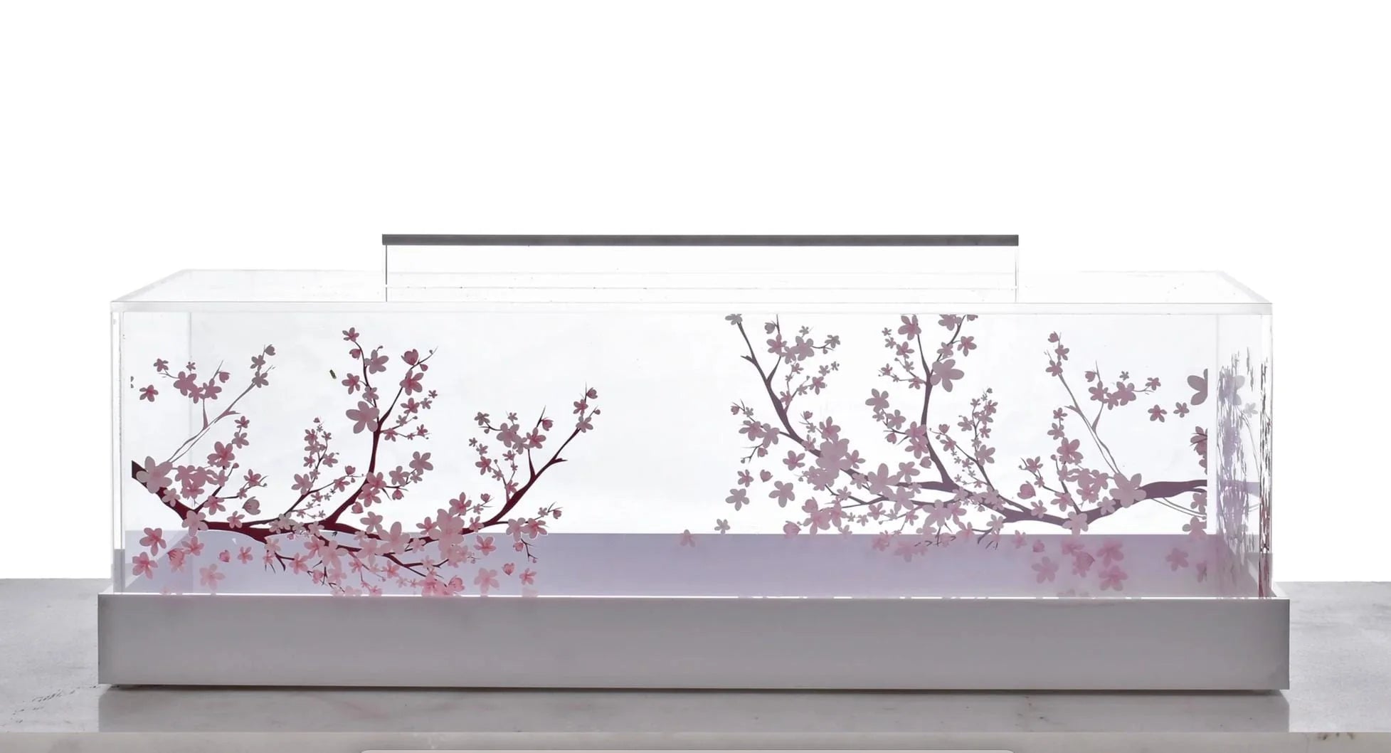 Cherry Blossom Cake Dome