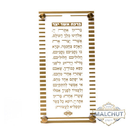 Asher Yatzar Striped Gold Frame #351