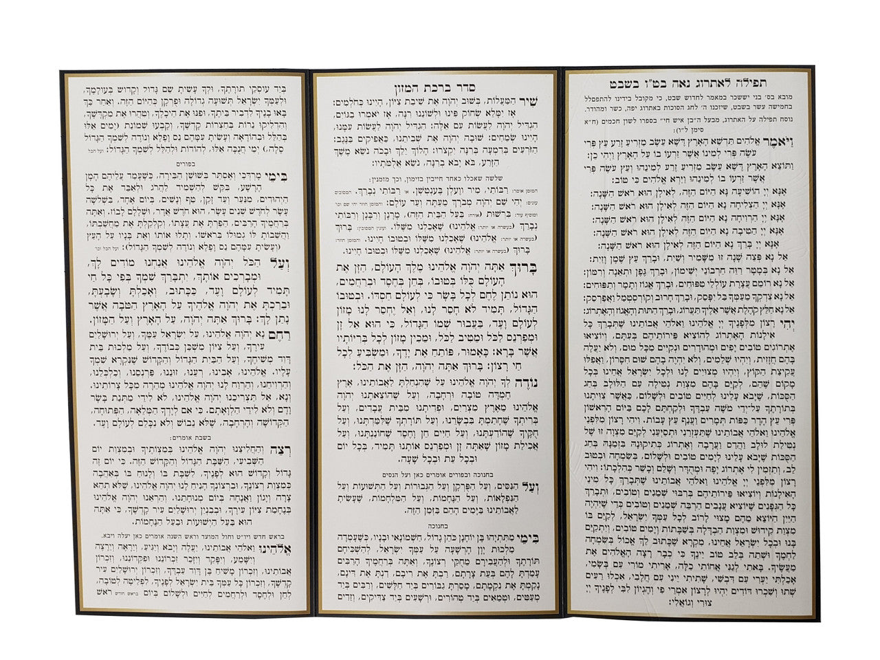 Tu B'Shvat Tri Fold #251