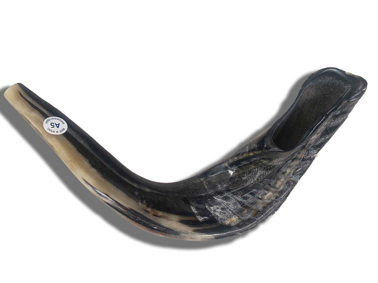 Shofar (Ram's Horn) 16''-17'' #A5 with Badatz Hechser