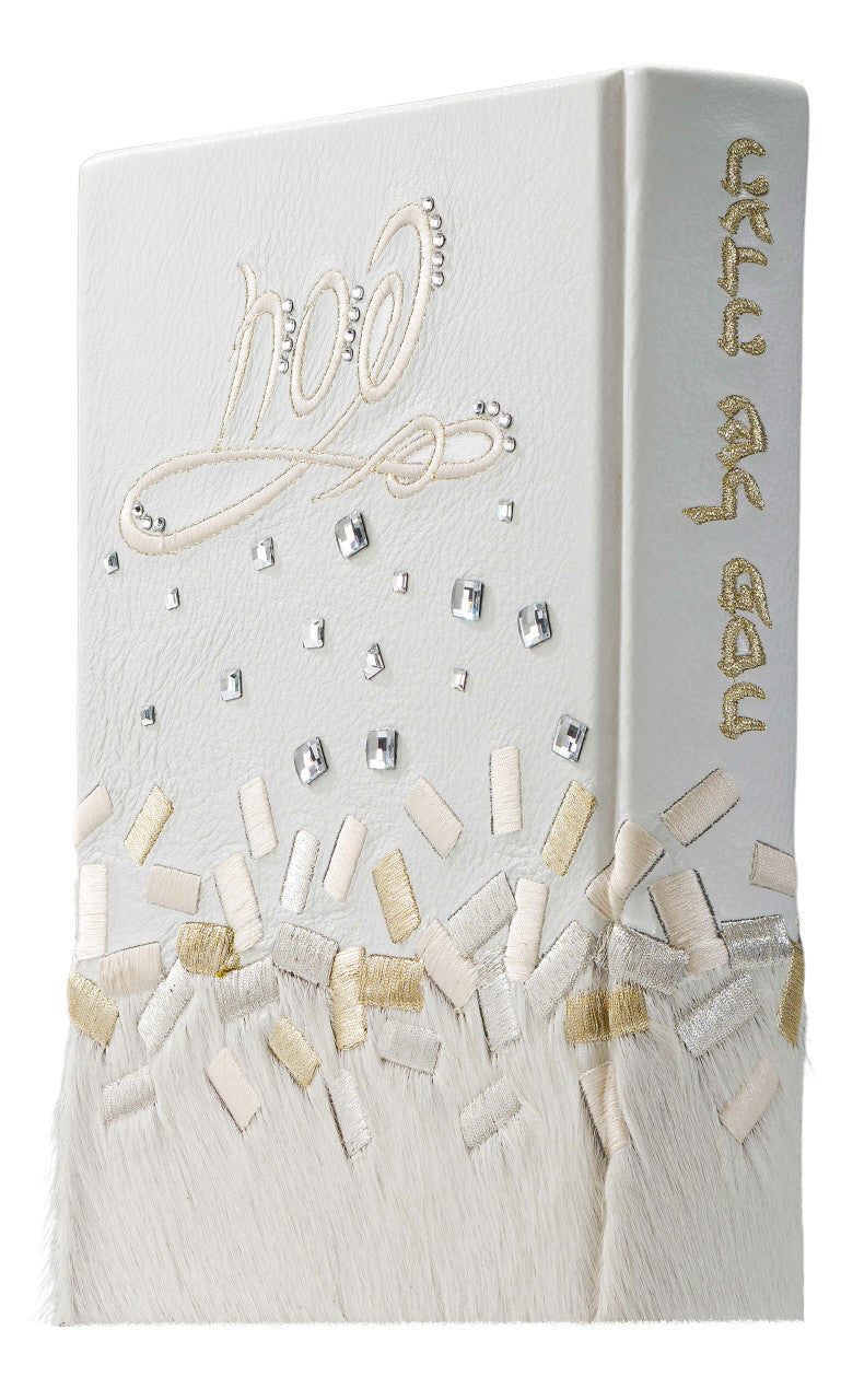 Custom Hagadah Cover #660