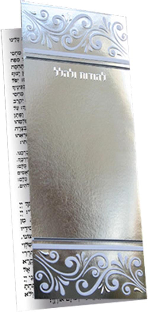 Chanuka 2 Fold, Metallic Silver