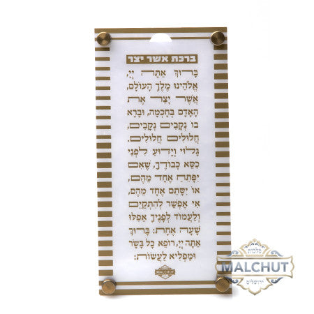 Asher Yatzar Striped Gold Frame #351