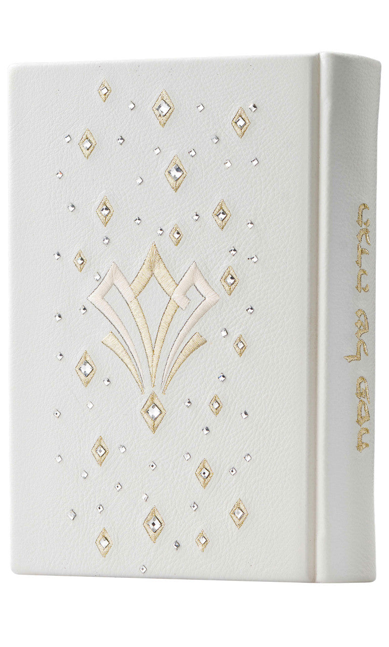 Custom Hagadah Cover #680