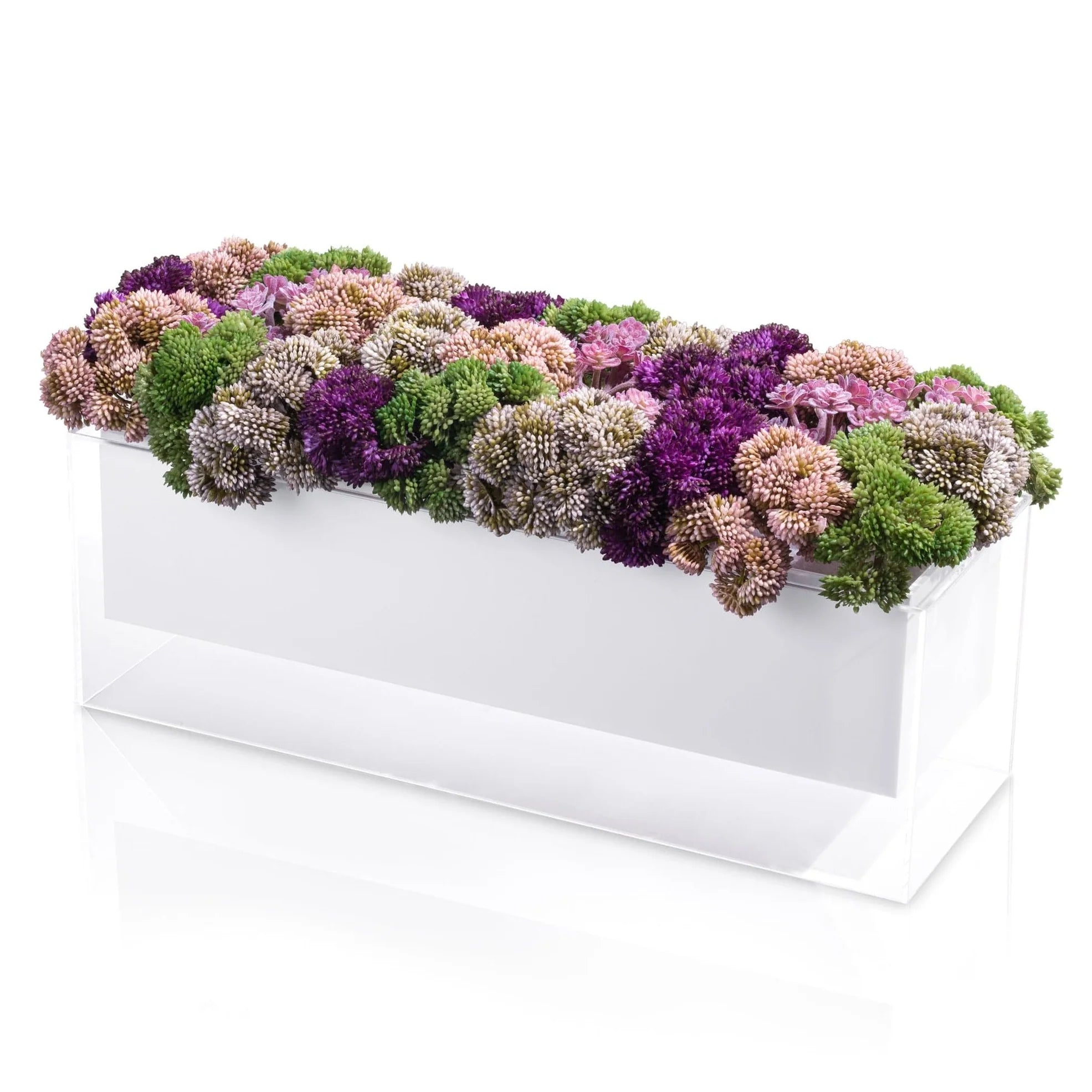 Purple Succulent Suspended Flower Arrangement