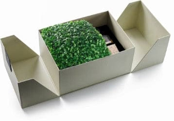 Mishloach Manos - Boxwood Vase