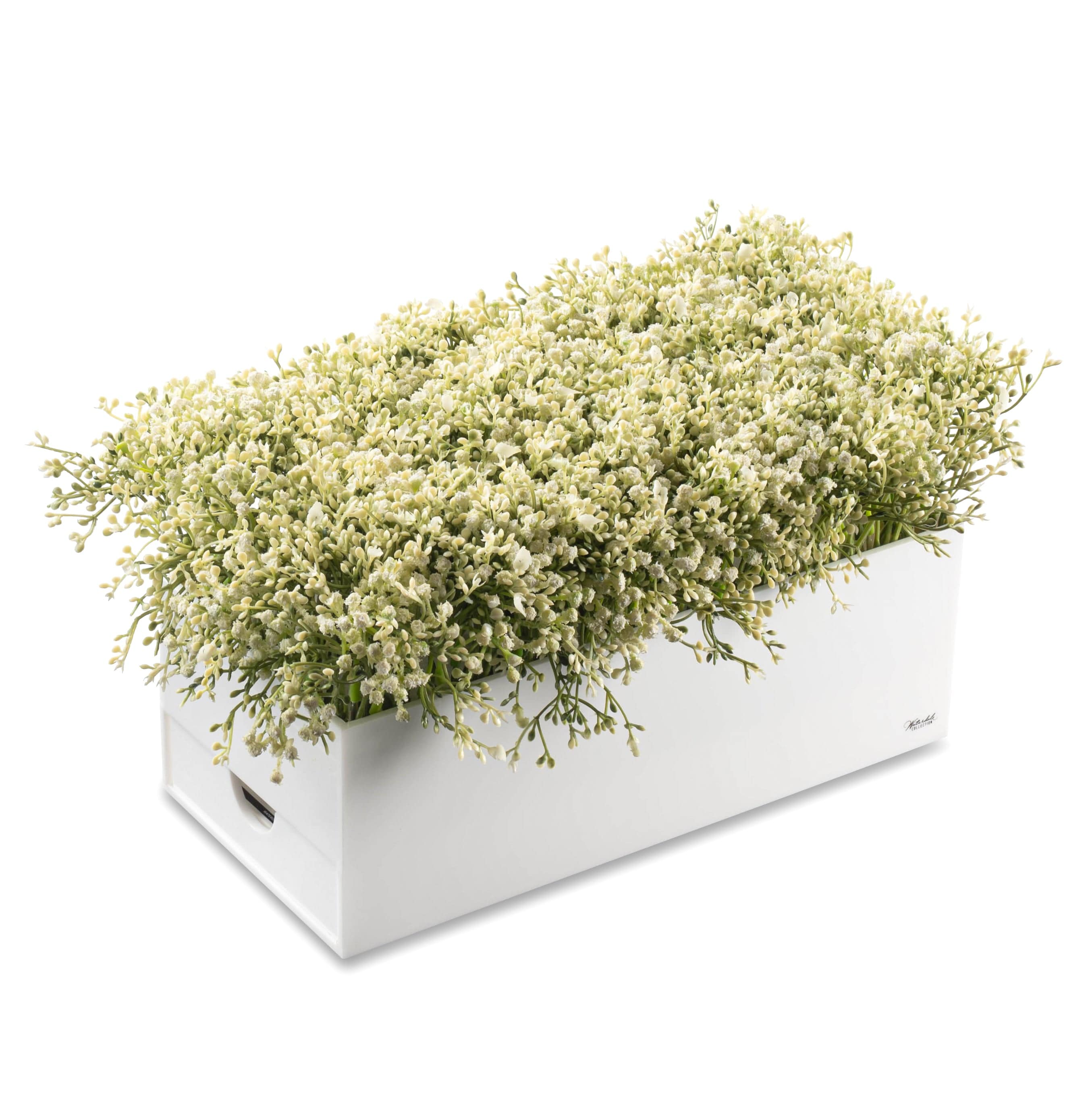 Babys Breath Bencher Set