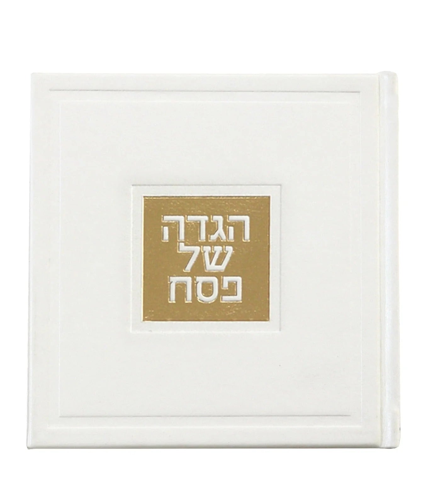 Leather Haggadah
