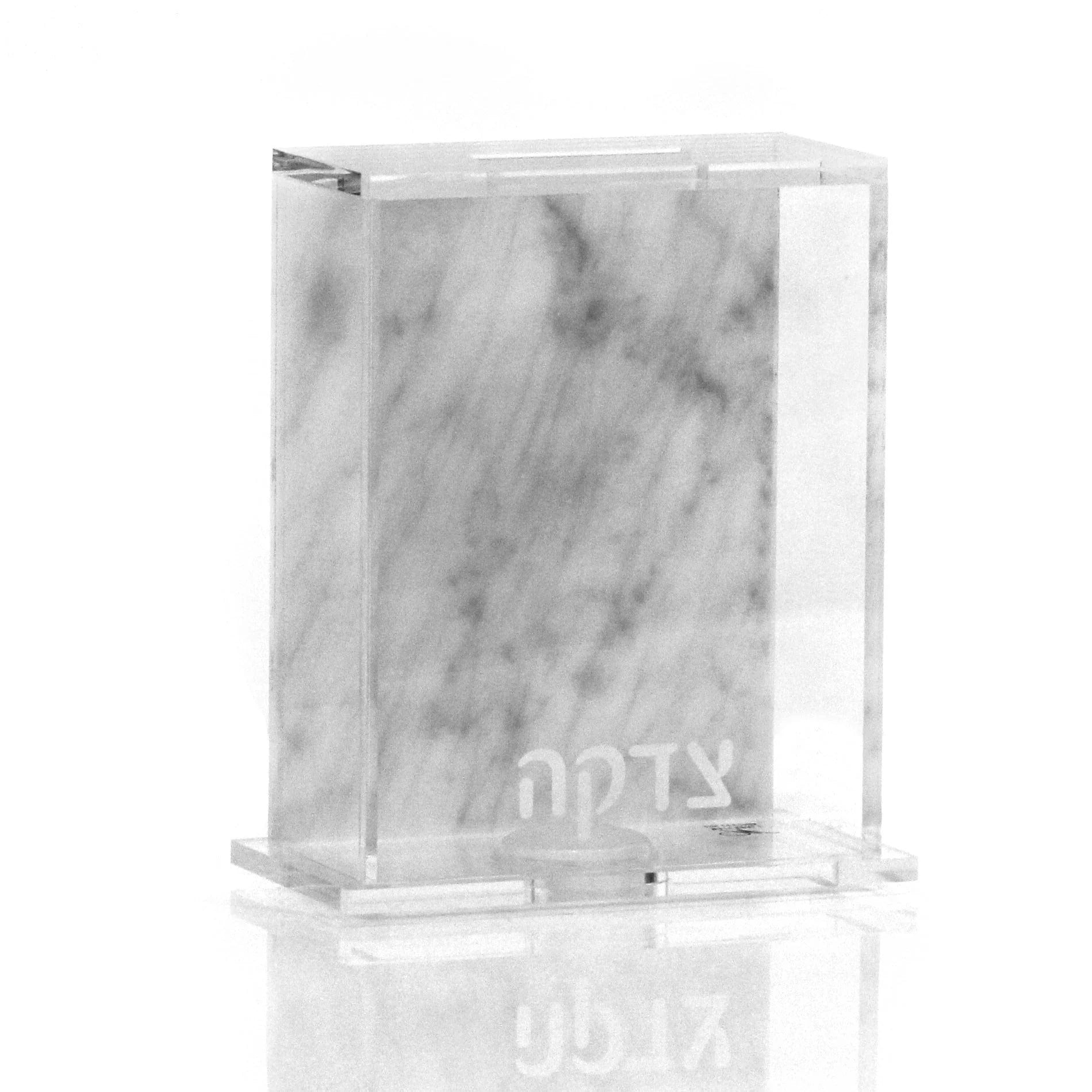 Back Color Tzedakah Box