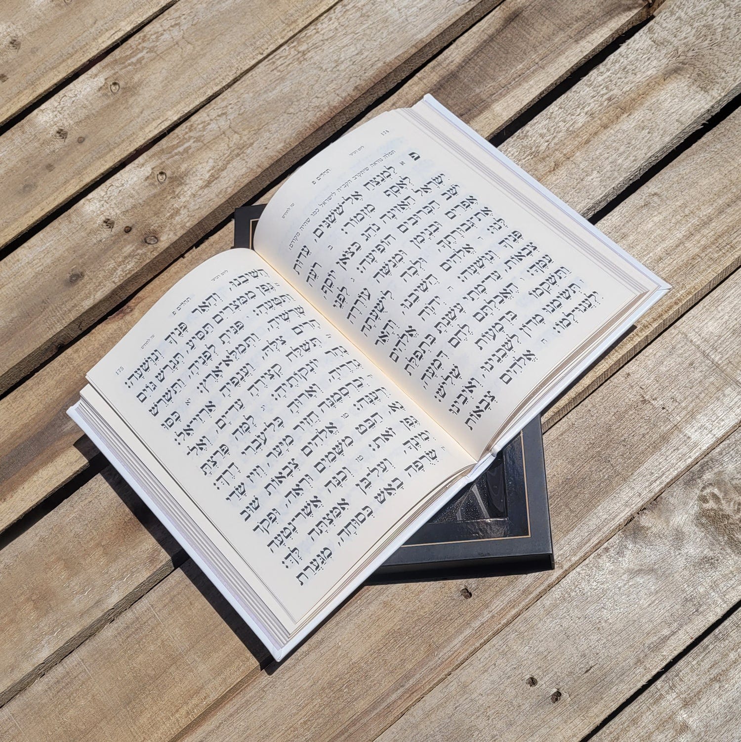 Leather Tehillim with Lucite Plate