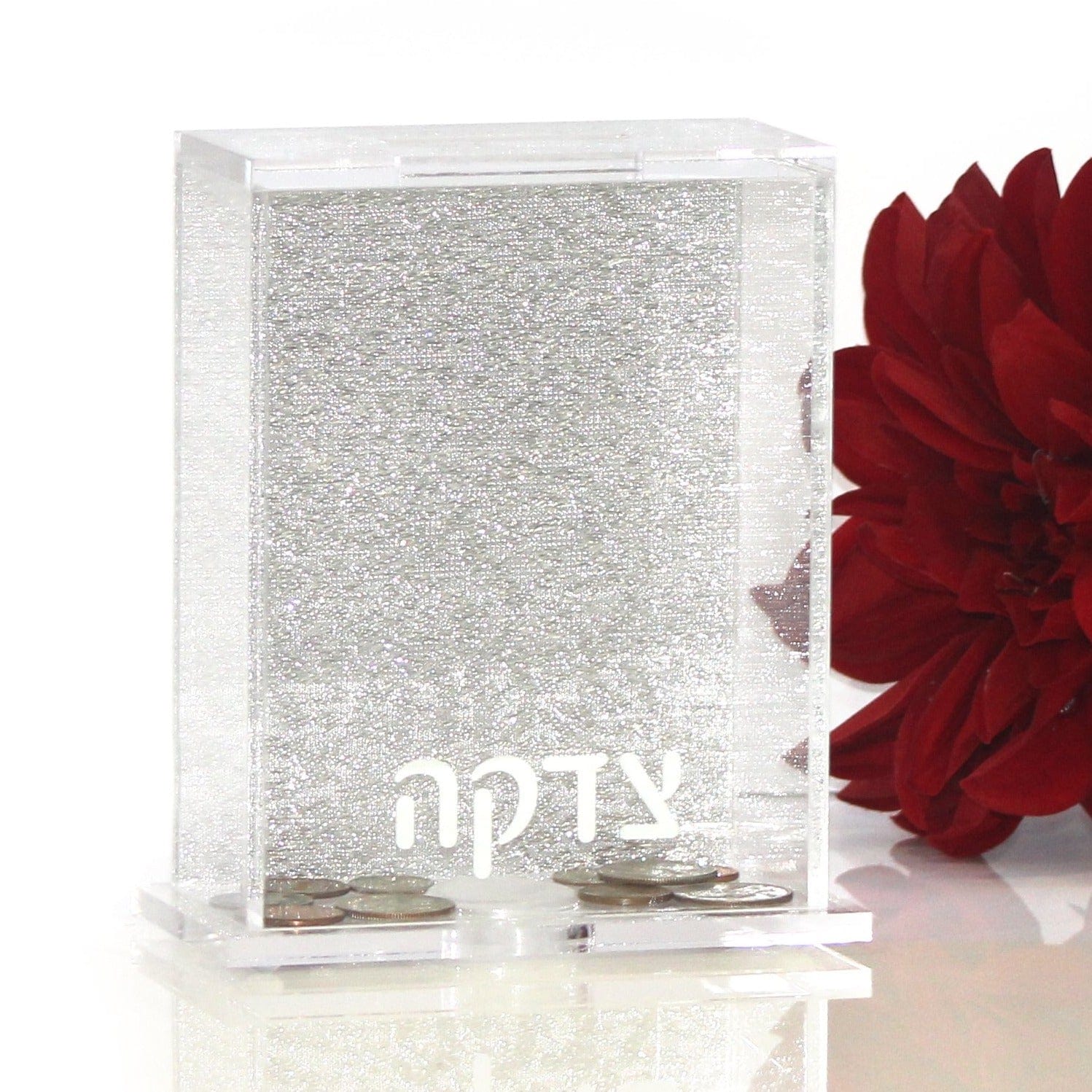 Back Color Tzedakah Box