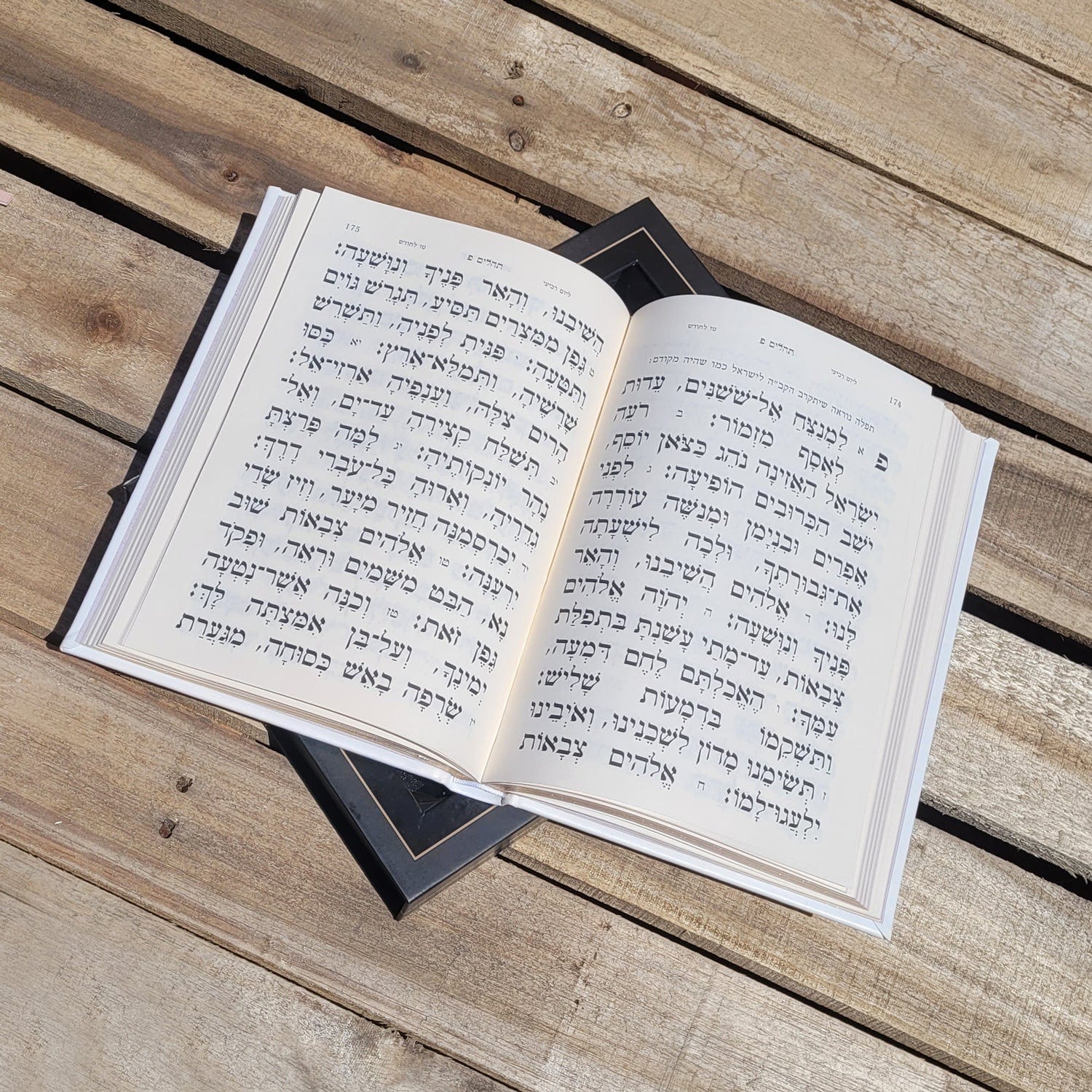 Leather Tehillim with Lucite Plate