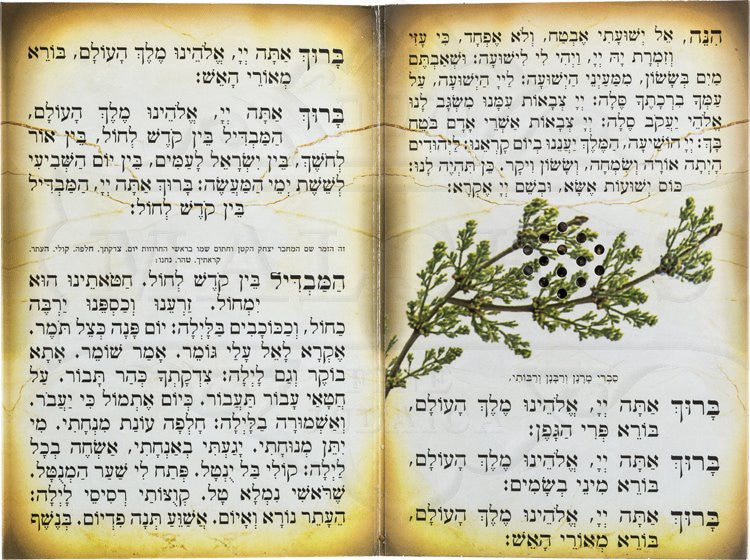 Seder Havdalah Three Fold #188